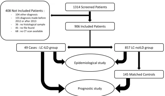 Figure 1. flow chart: patient selection from screening to epidemiological and prognostic study