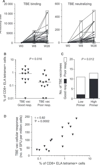 Fig. 2 Assessment of in vitro CD8 + T-cell priming capacity in elderly adults. (A) Binding and neutralizing antibody titers specific for TBEv in elderly ( > 70 years old) adults before and at weeks 8 and 28 after the first immunization