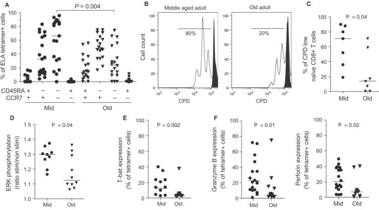 Fig. 4 Quantitative and qualitative analysis of the na € ıve CD8 + T-cell compartment