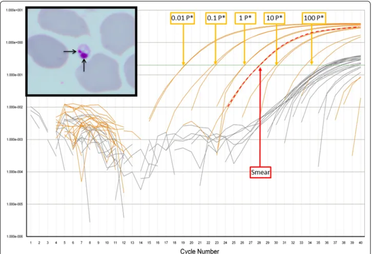 Fig 1 Amplification profile in RT-PCR of the Giemsa slide of the bone marrow smear, the negative blood slide and the negative tissue slide, the amplification of the Leishmania kinetoplast DNA is labeled in orange and the amplification of the DNA of the Int