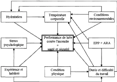 Figure  2-1.  Schéma  des  facteurs  principaux  influençant  la  performance  des  pompiers  (Adapté de  Eglin et al
