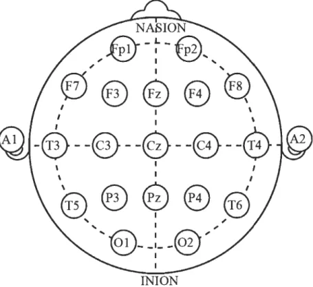 Figure  1.  Schématisation  du  système  10/20.  Représentation  des  différents  sites  de  positionnement  des  électrodes  selon  la  distribution  des  lobes  et  des  hémisphères  cérébraux