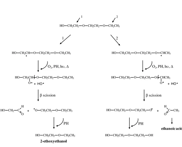 Fig.  4.  Proposed  degradation pathways of 2-(2-ethoxyethoxy)ethanol initiated by H  abstraction at positions 1and 2