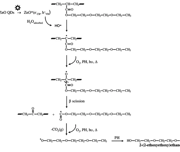 Fig.  9.  Proposed mechanism of formation of 2-(2-ethoxyethoxy)ethanol in the presence of  ZnO involving hydroxyl radicals