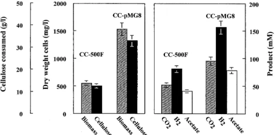 Figure 4 shows the advantages of strain CC-pMG8 with respect to strain CC-500 F: (i) the removal of growth inhibition leads to an increase in the population of cellulolytic bacteria and hence the efficiency of cellulose hydrolysis, since cellulasic activit
