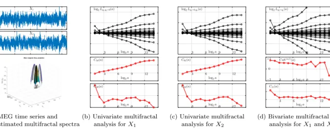 Fig. 4. MEG Data bivariate multifractal analysis. Macroscopic brain activity MEG data
