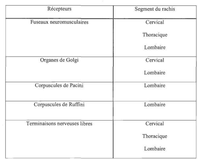 Tableau 1.  LocahsatlOn par région des récepteurs sensoriels selon Pickar  &amp;  Bolton  2012