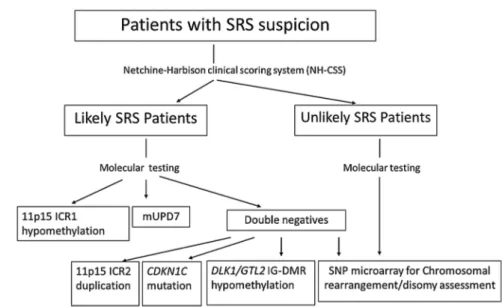 Figure 3 Flow chart detailing the molecular testing orientation when a Silver-Russell syndrome (SRS) is clinically suspected.