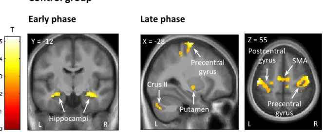 Figure 2. Functional imaging results of the non-stimulated control group.  