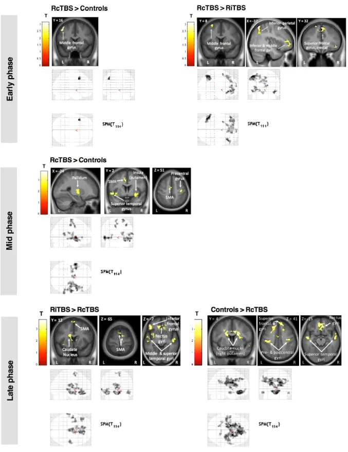 Figure 3. Functional imaging results of between-group differences.  