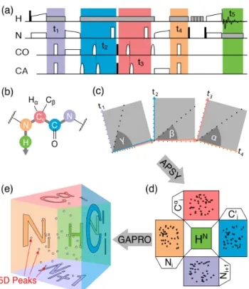 Figure  2.  5D  (H)NCOCANH  experiment  and  schematic  for  SO-APSY  acquisition  and  analysis