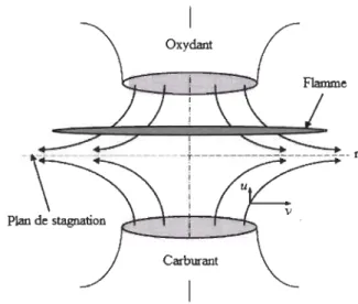 Fig. 3.11  Schema de la configuration de  la flamme de diffusion à contre-courant (Park  et al