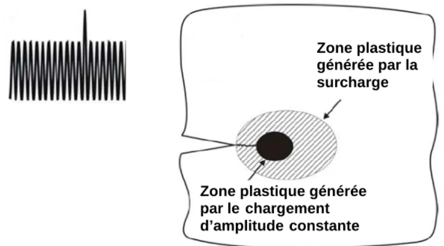 Figure 1.15  –  Accroissement  du  domaine  de  déformation  plastique  en  pointe  de  fissure  après application d’une surcharge [HEI08]    