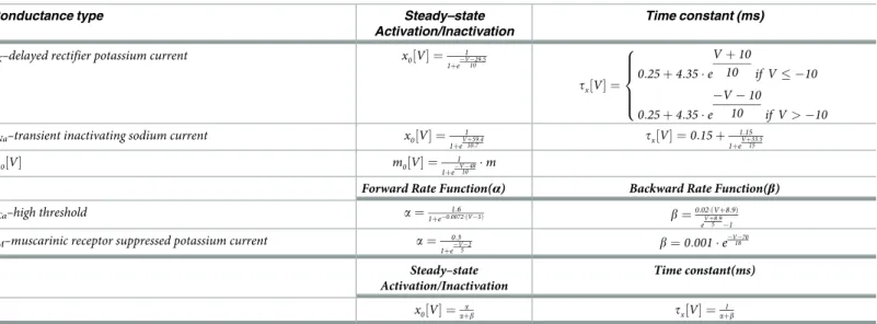 Table 2. Ionic conductance kinetic parameters.