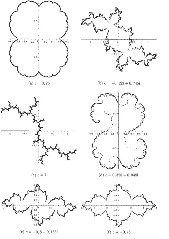 FIGURE  3.2  - Ensembles  de  Julia du plan  complex e 