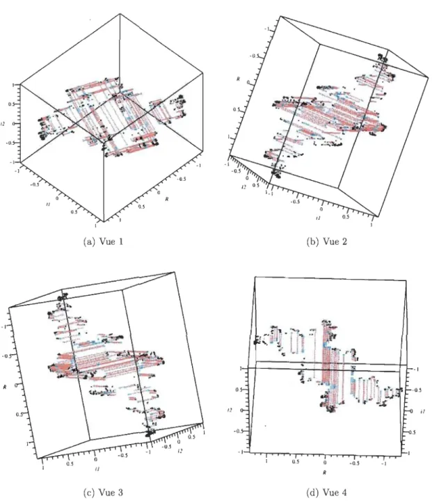 FIGURE  4.2  - Ensemble de  Julia dans  l'espace  tridimensionnel  c  =  -0 , 123  +  0, 745h 