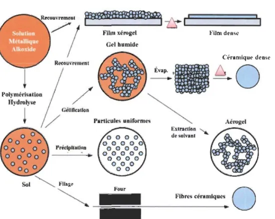 Figure 1.8  Les différents  produits obtenus à partir des  procédés sol-gel. 