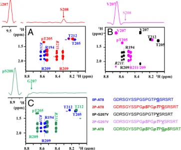 Fig. 1. Breaking the turn-like structure by the Gly207Val mutation or by phosphorylation of Ser208