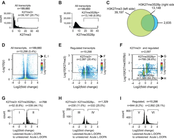 Figure 3. Induction of H3K27me3S28 phosphorylation genome wide correlates with an increase of mRNA transcripts from H3K27me3 marked gene loci