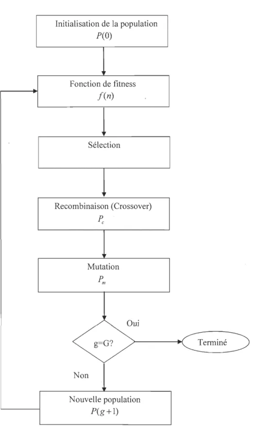 Figure 2-5  Algorithme génétique 