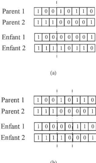 Figure 2-6  Opération de recombinaison: (a) un seul point de croisement et (b)  deux points de croisement 