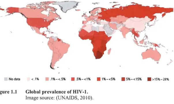 Figure 1.1  Global prevalence of HIV-1. 