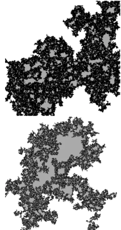 Figure 2: Two large critical percolation clusters in a box of the square lattice (first: bond-percolation, second: site-percolation)
