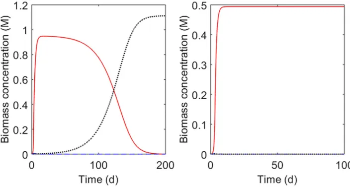 Fig 5. Possible competition scenarios between M. ruminantium (blue dashed line), M. smithii (red solid line) and M