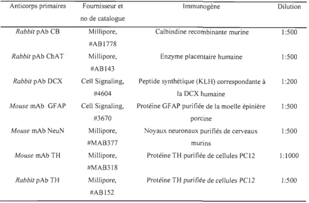 Tableau 3.1  Anticorps  primaires  utilisés  pour  la  technique  d'immunofluorescence