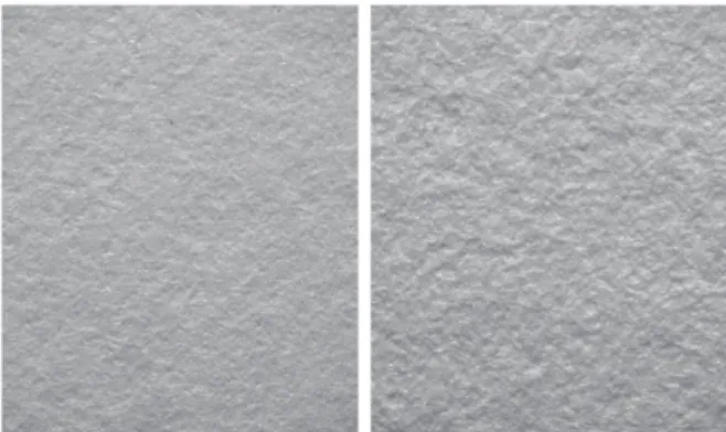Fig. 1. Example raking light image of wove paper, showing recto (left) and verso (right)