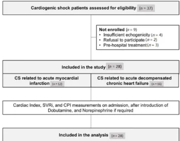 Figure 1. Flow chart of the study. CS, cardiogenic shock; SVRi, Systemic vascular resistance index; 
