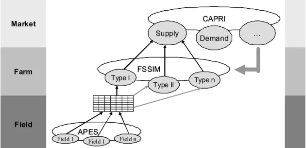 Figure 1. Schematic representation of nested linking of CAPRI-FSSIM and APES within a  hierarchical system