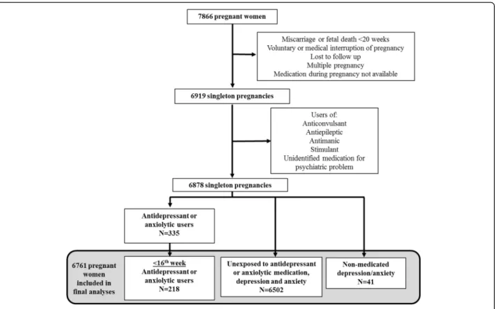 Fig. 1 Flowchart of the study