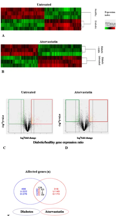 Fig 2. Effects of atorvastatin on the transcriptome of left ventricles of healthy or diabetic rats