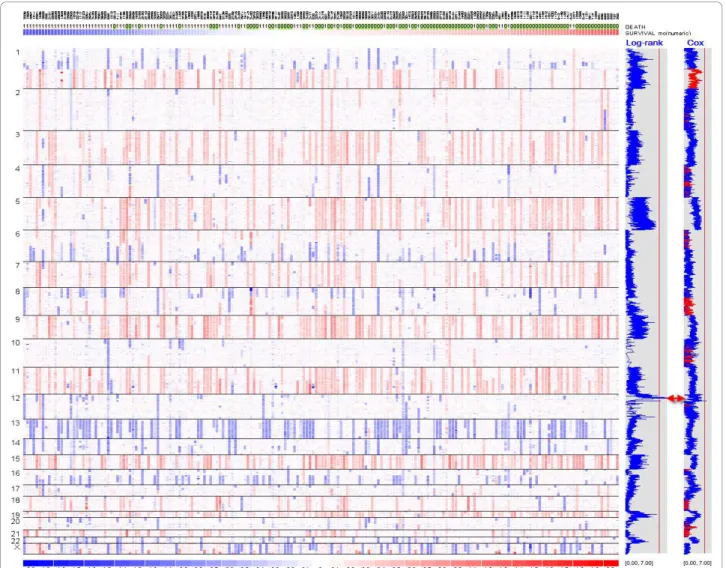 Figure 3 The dChip chromosome view of copy numbers and survival association scores. The SNP copy numbers in all the chromosomes are displayed in log2 ratios (red for gains and blue for losses), with SNPs on rows ordered by chromosome and positions, and sam