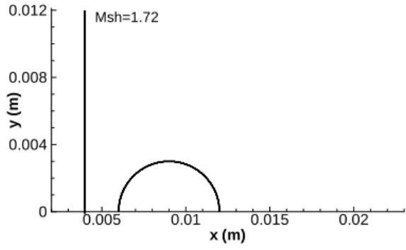 Fig. 1 Initial situation for the shock-bubble interaction D 0 = 0.006 m and M sh = 1.72.