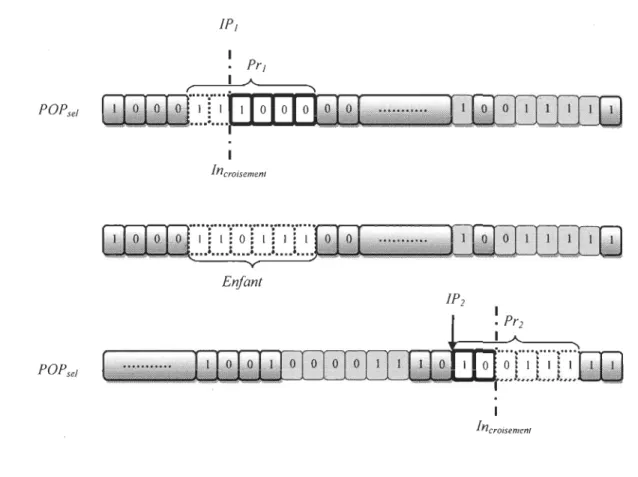 figure  3.6 résume l'opération de croisement.  1  •  Prl  POP sel  1  n croisement  ~&#34;&#34;'-&#34;&#34;&#34;&#34;'-&#34;---&#34;.&#34;  •••  , •••••  ,
