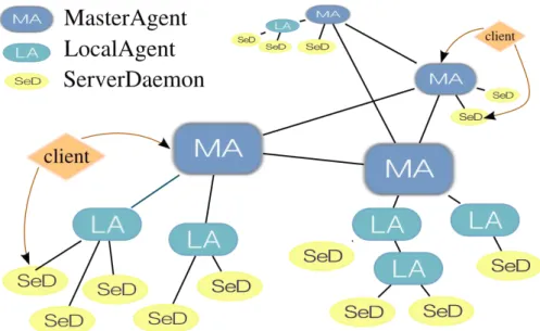 Figure 1: Diet multi-hierarchy.