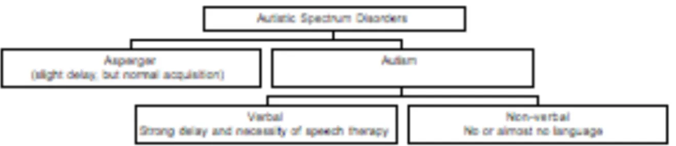 Figure 1: Language in ASD 