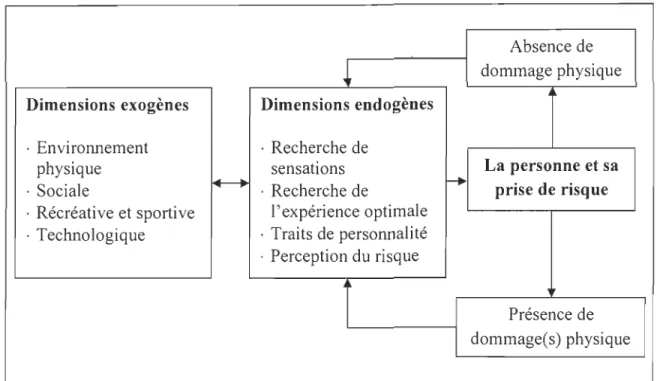 Figure  2.  Modèle préliminaire de  la prise de risque chez les hommes de  14  et 24 ans