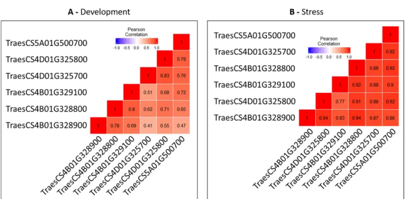 Fig 4. Pearson correlations between duplicated genes of the studied 4B-4D-7B-5A chromosomal regions during development (A) and stress (B).