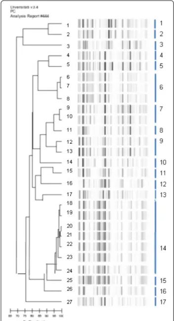 Fig. 2 Dendrogram analysis and virtual gel images of DiversiLab rep-PCR fingerprinting system (bioMérieux) for the 27 E