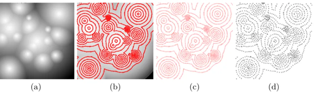 Fig. 1. Extraction of the level set contours (b,c) from the input image (a) and sampling resulting contours (d)