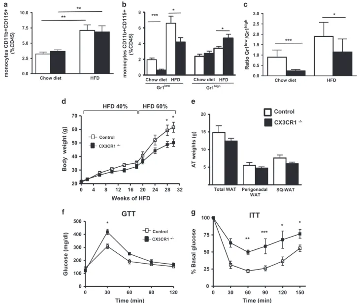 Figure 2. Gr1 low monocytes are decreased in CX3CR1 −/ − HFD-fed mice, and CX3CR1 de ﬁ ciency results in decreased BW gain but increased IR following exposure to HFD