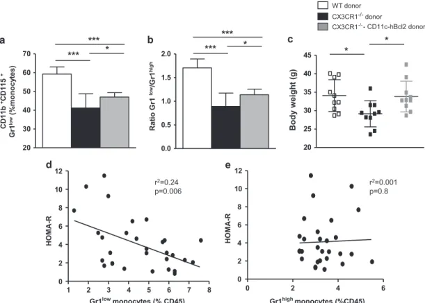 Figure 6. Expression of hBcl2 in Gr1 low monocytes partially rescue the ratio Gr1 low /Gr1 high and totally rescue the weight loss in CX3CR1- CX3CR1-de ﬁ cient mice in HFD conditions
