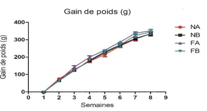Figure 6 : Nourriture consommée lors du protocole (g) (Moyenne± SEM) 
