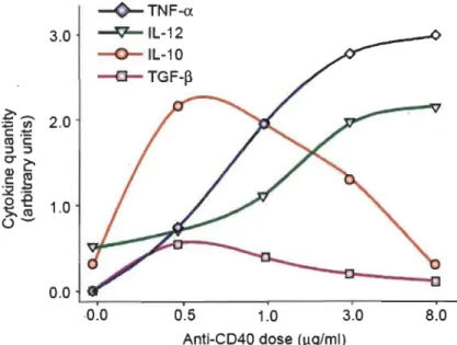 Figure 1.5  Rôle de la force du signal dans le système CD40/CD40L. 