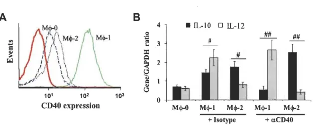 Figure captions  A  '" ...  =  ~  ~  Figure 1  B  4  •  IL- IO  o  IL-12 "  ## .= " .
