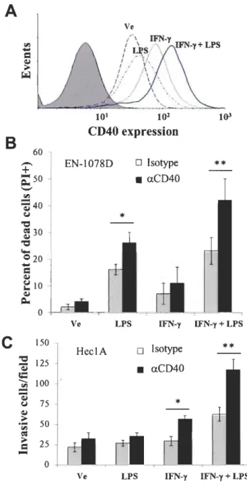 Figure 5  59 A Ve 101 102 1()3 B CD40 expression ..-.. + 60 EN-I078D o Isotype ** -50 ~ •  aCD40 -=540 "" u * "CI 8330 "CI It-o Q20 ...