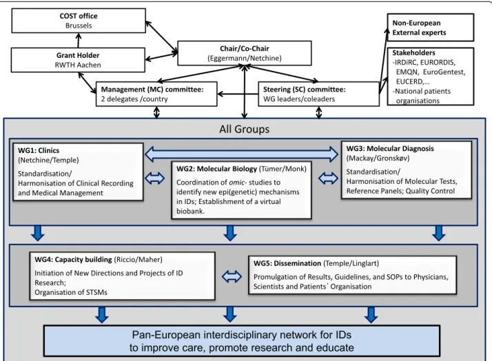 Figure 2 Structure and activities of the EUCID.net/COST BM1208, all aiming on networking of researchers, clinicians, SMEs and patients organisation working in the field of IDs.